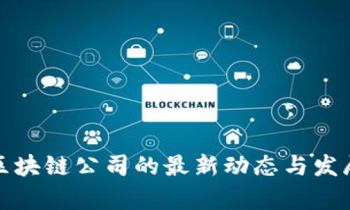 合肥区块链公司的最新动态与发展分析