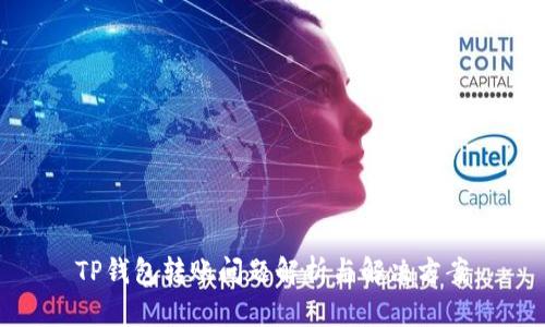 TP钱包转账问题解析与解决方案