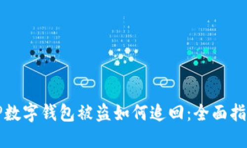 TP数字钱包被盗如何追回：全面指南