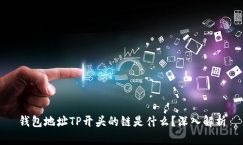钱包地址TP开头的链是什么？深入解析
