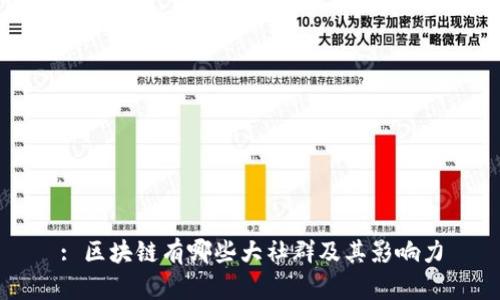 : 区块链有哪些大社群及其影响力