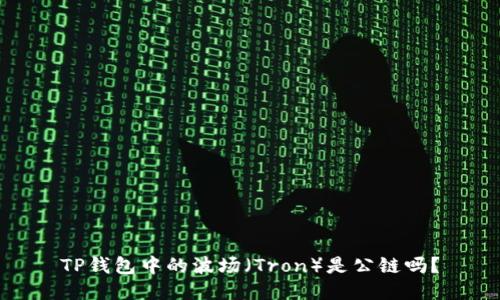 TP钱包中的波场（Tron）是公链吗？