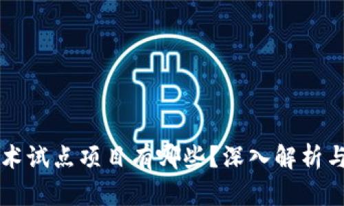 区块链技术试点项目有哪些？深入解析与发展前景