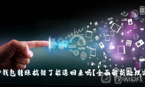  TP钱包转账搞错了能退回来吗？全面解析处理方案