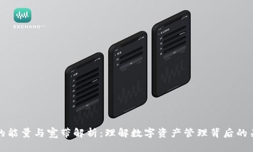TP钱包的能量与宽带解析：理解数字资产管理背后的关键要素