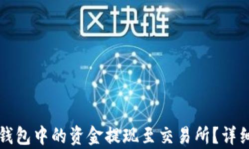 
如何将TP钱包中的资金提现至交易所？详细步骤解析