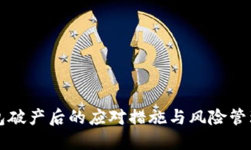 TP钱包破产后的应对措施与风险管理指南