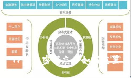 TP钱包密码忘了如何重置