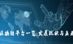 美国区块链平台一览：发