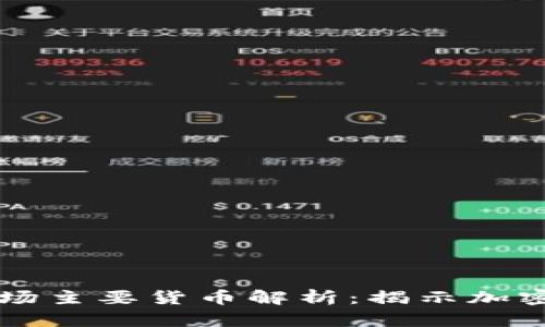 区块链市场主要货币解析：揭示加密货币生态