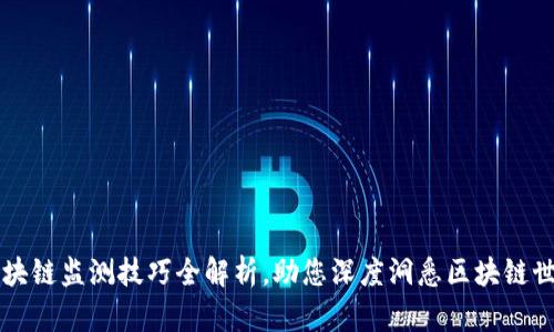 区块链监测技巧全解析，助您深度洞悉区块链世界