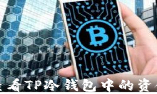 
如何查看TP冷钱包中的资金余额