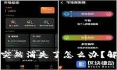tp钱包里的币突然消失了怎么办？解析与解决方案