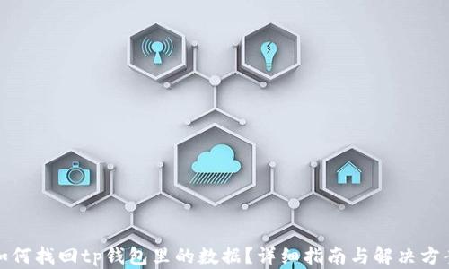 
如何找回tp钱包里的数据？详细指南与解决方案