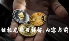 : 区块链极光项目详解：内