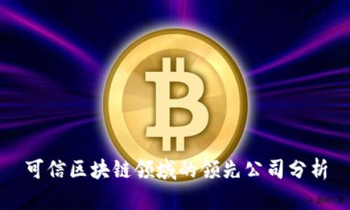 可信区块链领域的领先公司分析