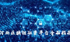 河北区块链融资平台全面