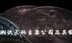 区块链测试点的主要公司