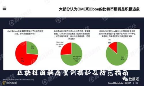 区块链圈骗局案例揭秘及防范指南