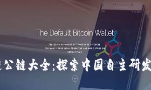 国产区块链公链大全：探索中国自主研发的公链项目