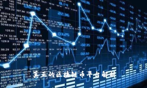 真正的区块链币平台解析