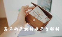 真正的区块链币平台解析