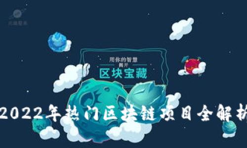 2022年热门区块链项目全解析