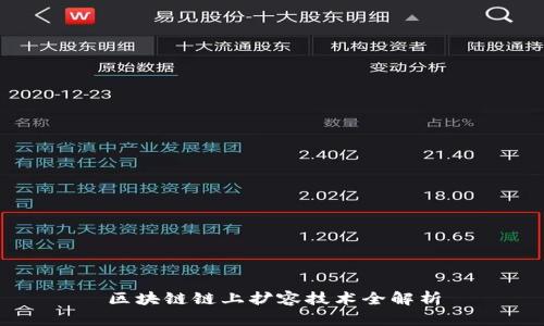 区块链链上扩容技术全解析