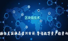 : 区块链美国骗局案例分析