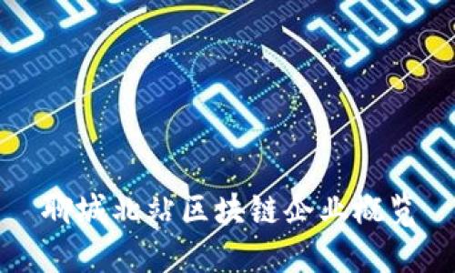 聊城北站区块链企业概览