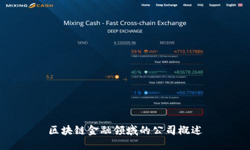 区块链金融领域的公司概述
