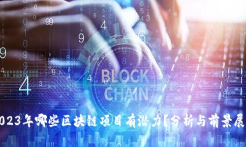 2023年哪些区块链项目有潜力？分析与前景展望
