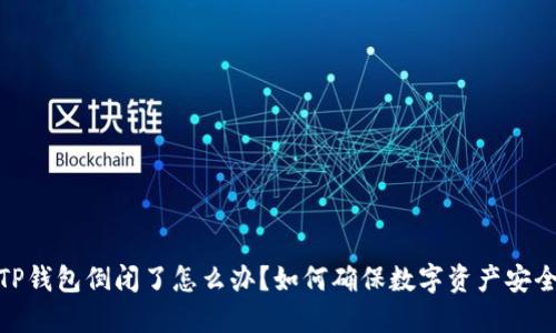 TP钱包倒闭了怎么办？如何确保数字资产安全