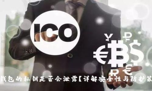 TP钱包的私钥是否会泄露？详解安全性与防护策略