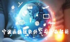宁波区块链软件公司全面