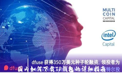 
国内如何下载TP钱包的详细指南