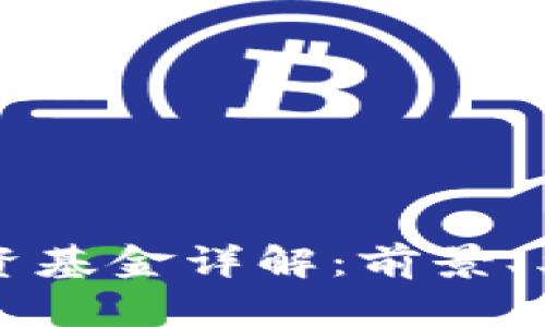 区块链应用投资基金详解：前景、类型及投资策略