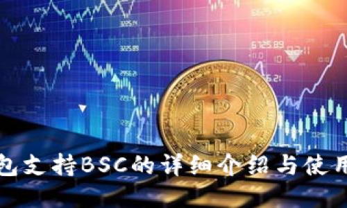 TP钱包支持BSC的详细介绍与使用指南