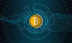 如何在TP钱包中查询以前的