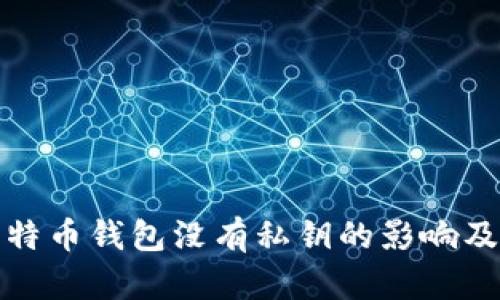 TP钱包比特币钱包没有私钥的影响及解决方案