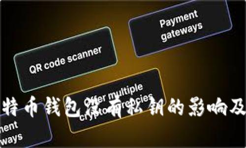 TP钱包比特币钱包没有私钥的影响及解决方案