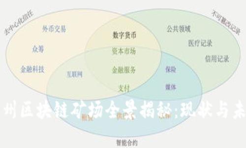 贵州区块链矿场全景揭秘：现状与未来