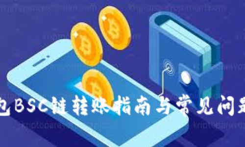 TP钱包BSC链转账指南与常见问题解析