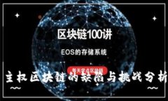 主权区块链的缺陷与挑战