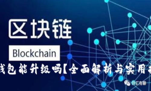 TP钱包能升级吗？全面解析与实用指南