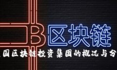 美国区块链投资集团的概