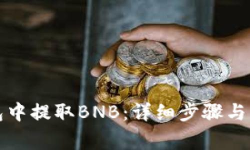 如何在TP钱包中提取BNB：详细步骤与常见问题解答