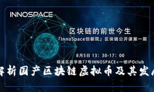 全面解析国产区块链虚拟币及其发展前景