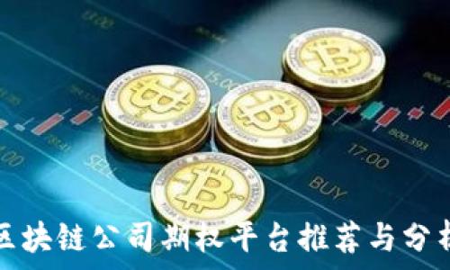   
区块链公司期权平台推荐与分析